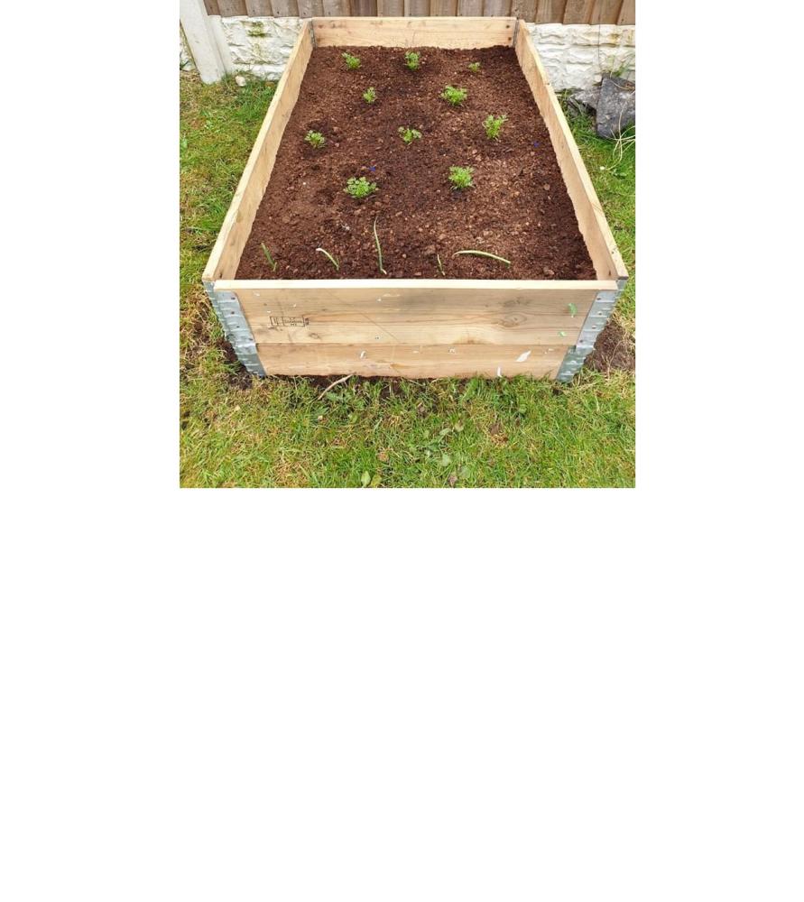 Carré potager - Copie